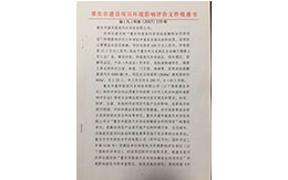 重庆市建设项目环境影响评价文化批准书